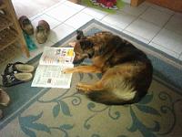 2014_05_01 bella mit zeitung 002